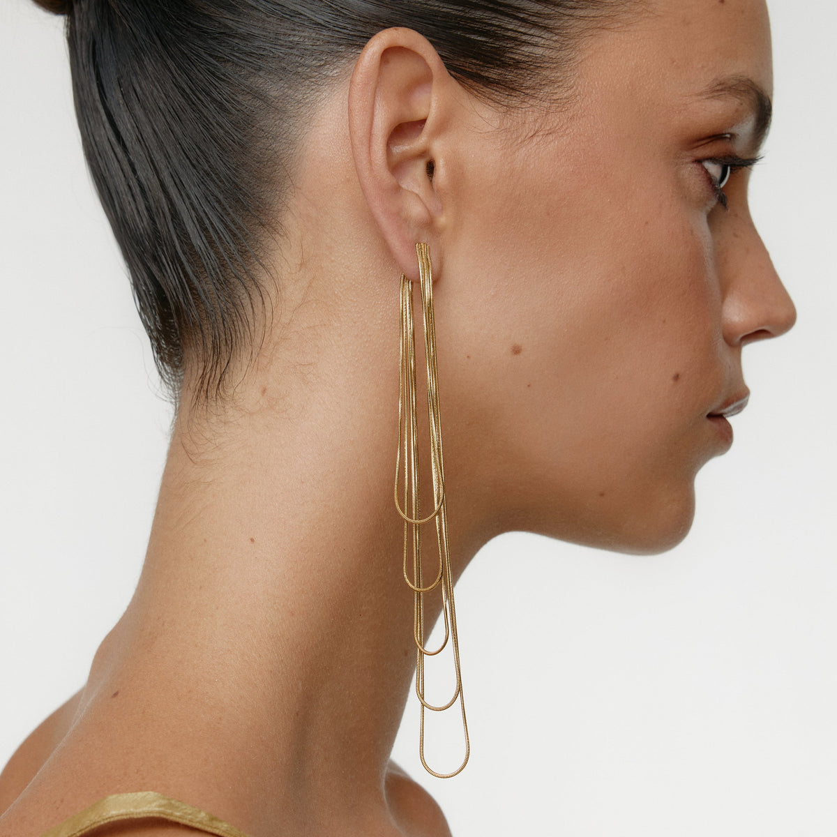 FITONIA GOLD