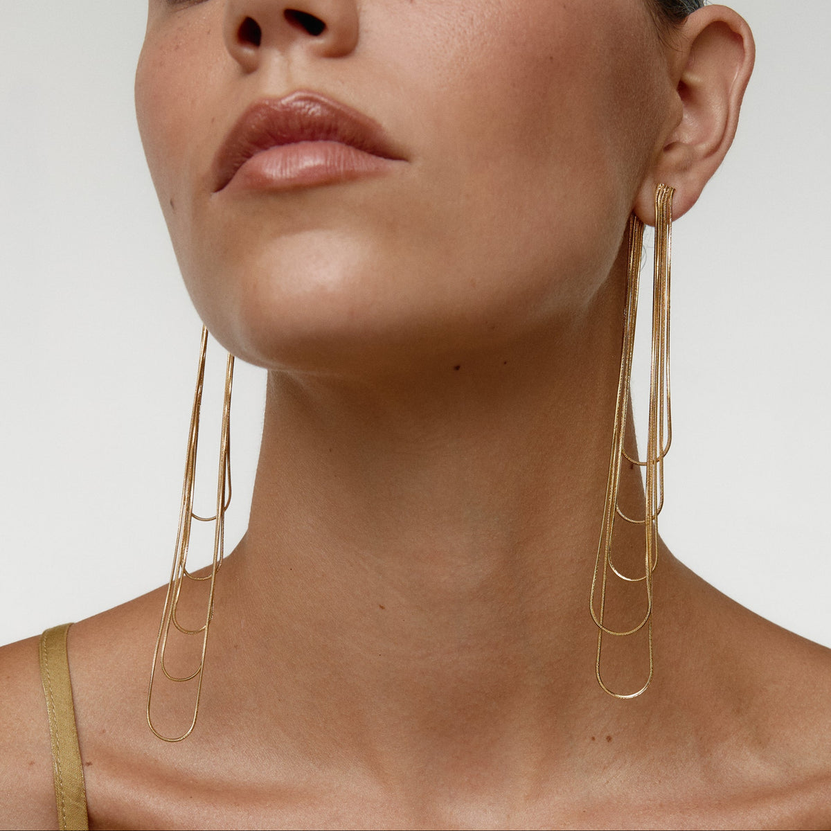 FITONIA GOLD