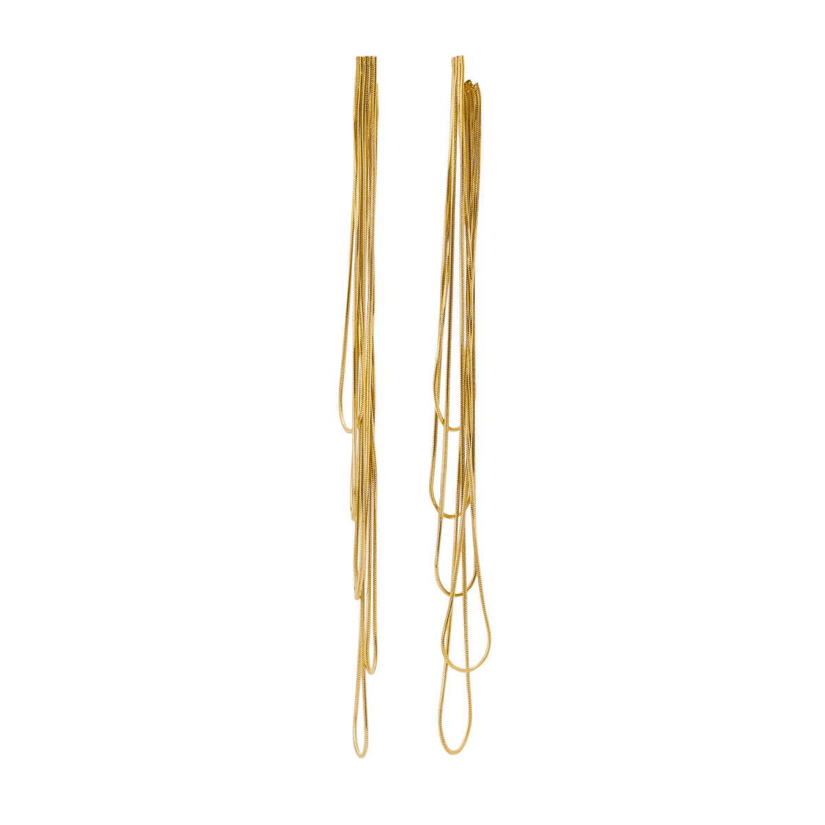 FITONIA GOLD