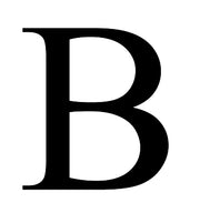 BONAI MADRID logo