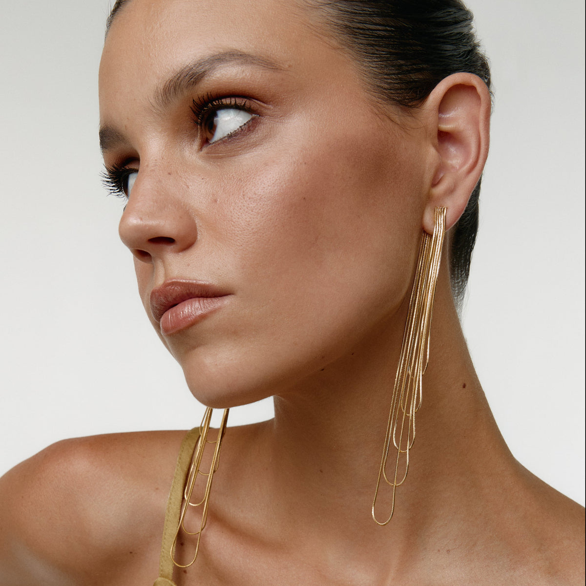 FITONIA GOLD