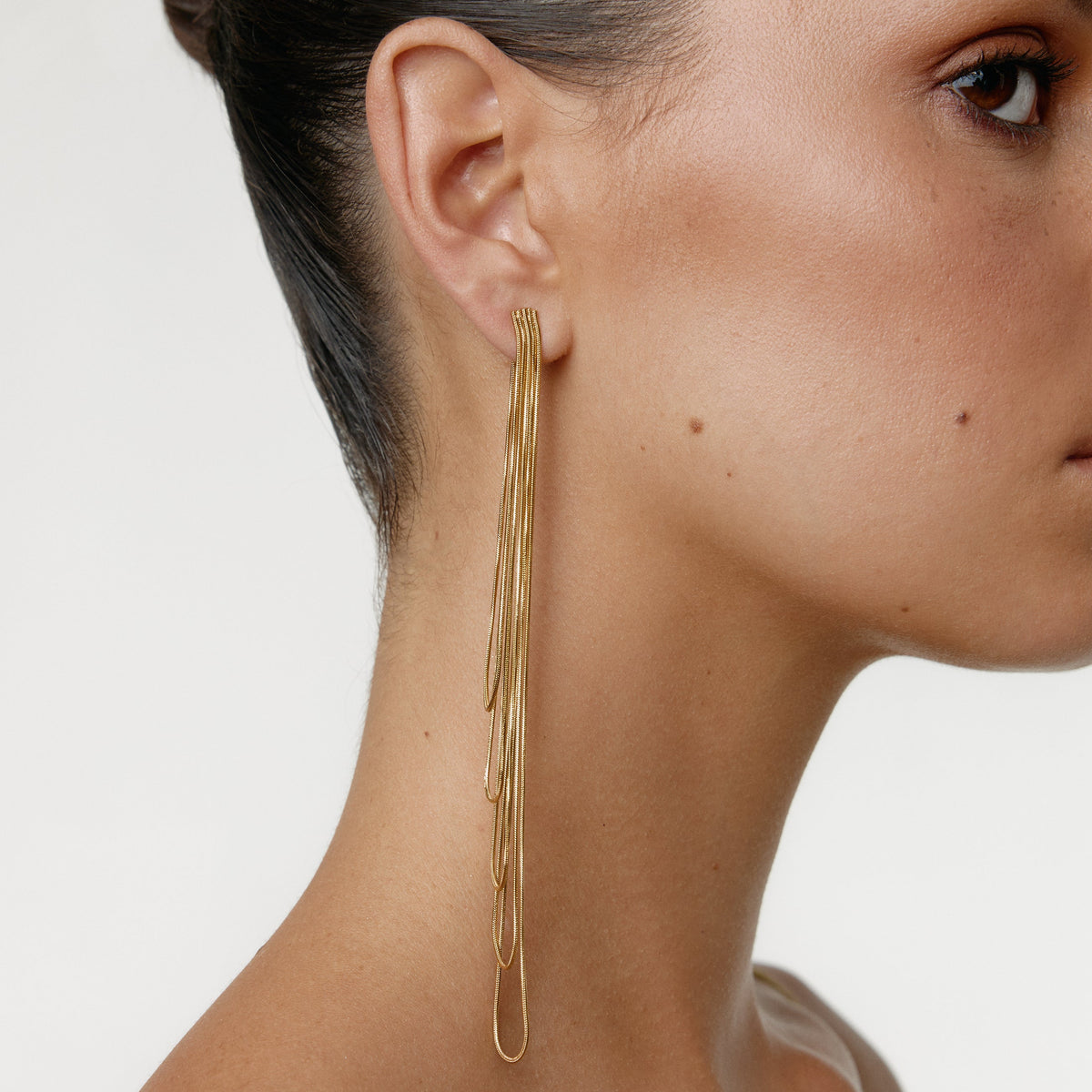 FITONIA GOLD